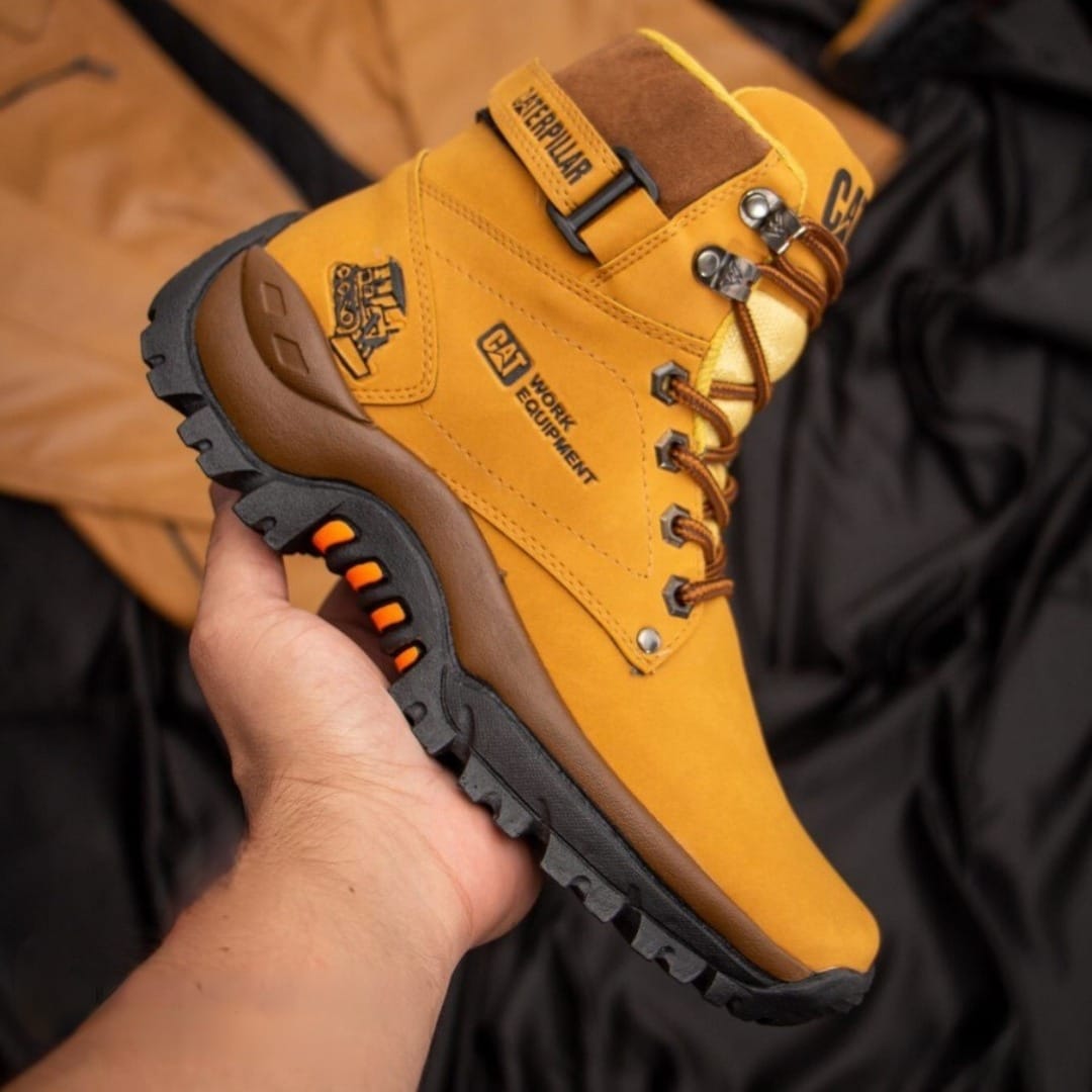 COLECCIÓN PREMIUM CAT ROAD + CAJA